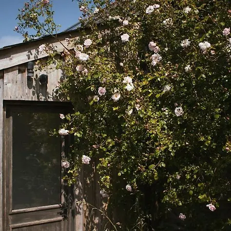The Granary Apartment Barbrook Exterior photo